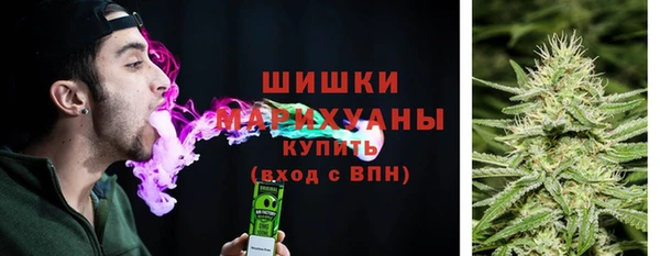 спиды Волосово