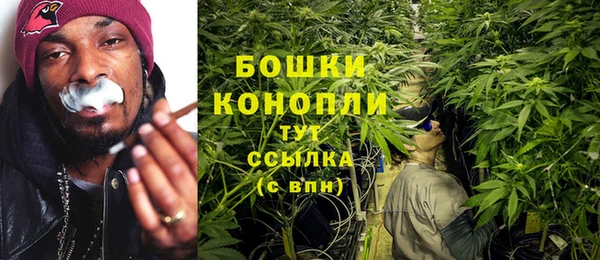 прущие грибы Бородино