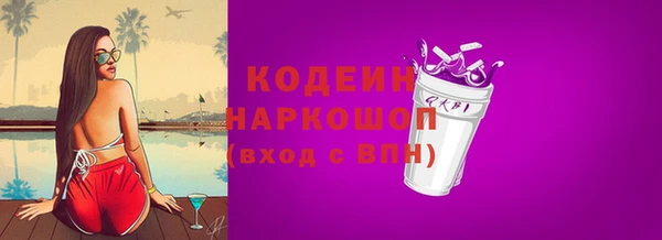 прущие грибы Бородино