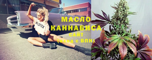 прущие грибы Бородино