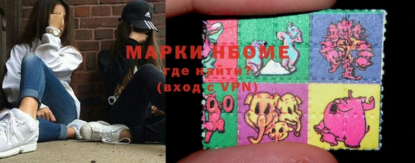 прущие грибы Покачи