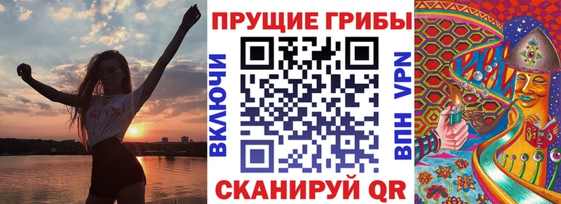 Псилоцибиновые грибы Cubensis  Звенигово 
